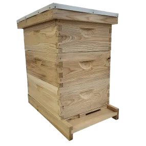 8-Frame All-Medium Box Hive Kit