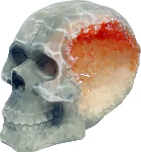 Blue Ribbon Pet Products - Exotic Environments Skull Geode Stone