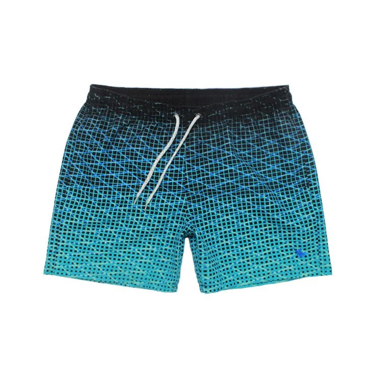 Casual Swimming Beach Shorts