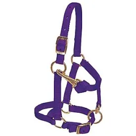 Weaver Average Miniature Horse Adjustable 5/8" Nylon Halter